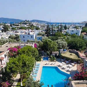Moonshine & 3*, Bodrum Turkey